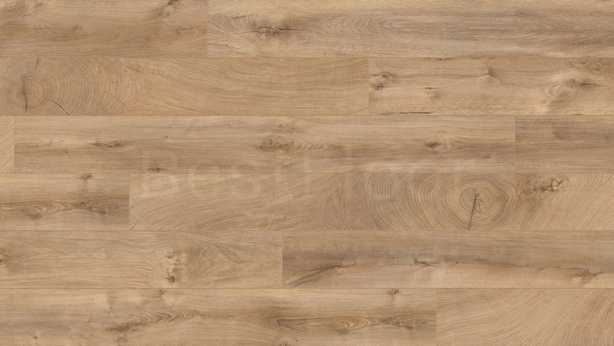 Ламінат Kaindl Natural Touch Premium Plank Oak Fresco Lodge K4381 2648 фото