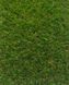Штучна трава Prettie Grass Karpatia (2 Х 12) 7792 фото 10