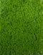 Штучна трава Turfgrass Ibiza sunq (2м ширина) 7849 фото 3