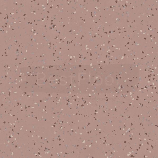 Лінолеум Tarkett IQ Eminent 7478 фото