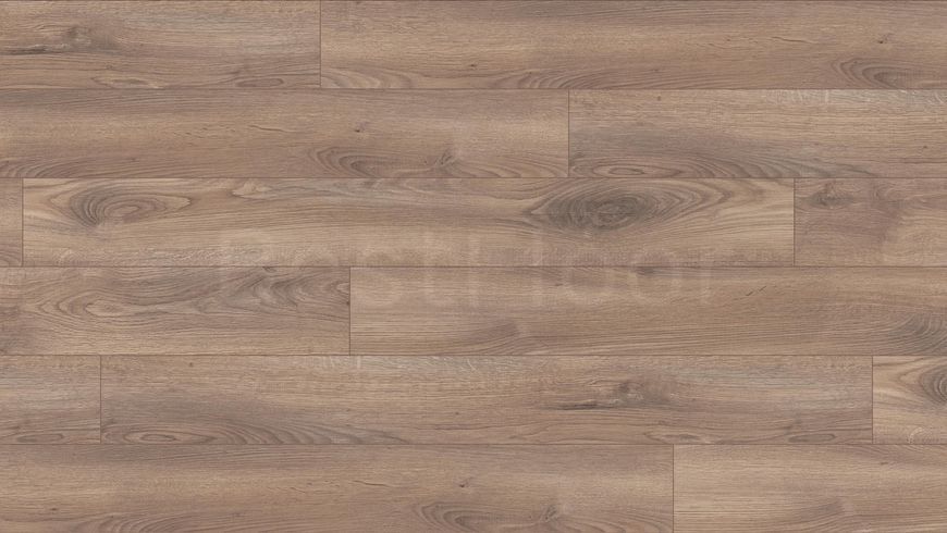 Ламинат Kaindl Classic Touch Premium Plank Oak Marineo 37844 2629 фото