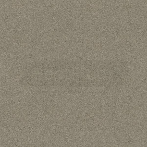 Килимова плитка Tessera Basis Pro 10765 фото