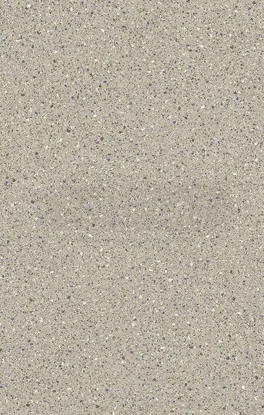 Лінолеум Beauflor Strong Plus Patio 967L (2,5м ширина) 4496 фото