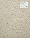Лінолеум Beauflor Strong Plus Patio 967L (2,5м ширина) 4496 фото 10