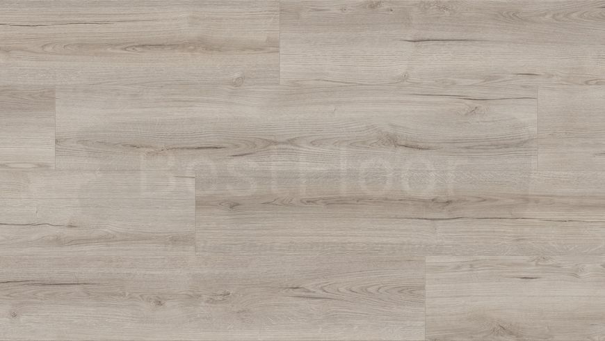 Ламінат Kaindl Natural Touch Wide Plank Oak Evoke Claymono K4426 2638 фото