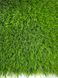 Штучна трава Bellinturf Bluebell 504 (2м ширина) 9897 фото 2