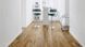 Ламінат Kaindl Natural Touch Premium Plank 8/32 Hickory Chelsea 34073 7150 фото 3