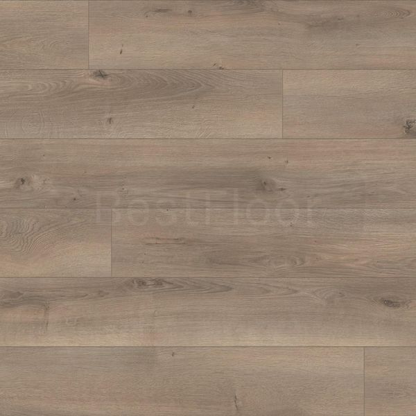 Ламінат Kaindl Natural Touch Standart Plank 2651 фото