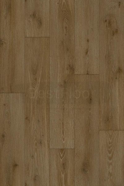 Линолеум Beauflor Harmony Forest Oak 221M (2,5м ширина) 4102 фото