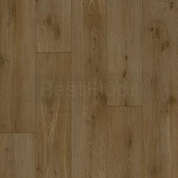Линолеум Beauflor Harmony Forest Oak 221M (3м ширина) 4103 фото