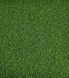 Штучна трава Prettie Grass Golf 1957 фото 3