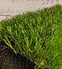 Штучна трава Turfgrass Alvira 813 фото 6